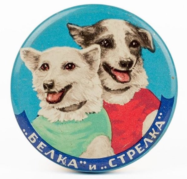 Белка и стрелка на белом фоне