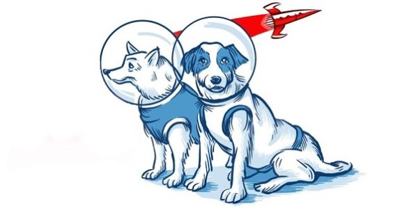 Лисаченко белка и стрелка