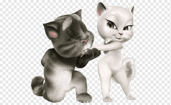 Кот том и Анжела