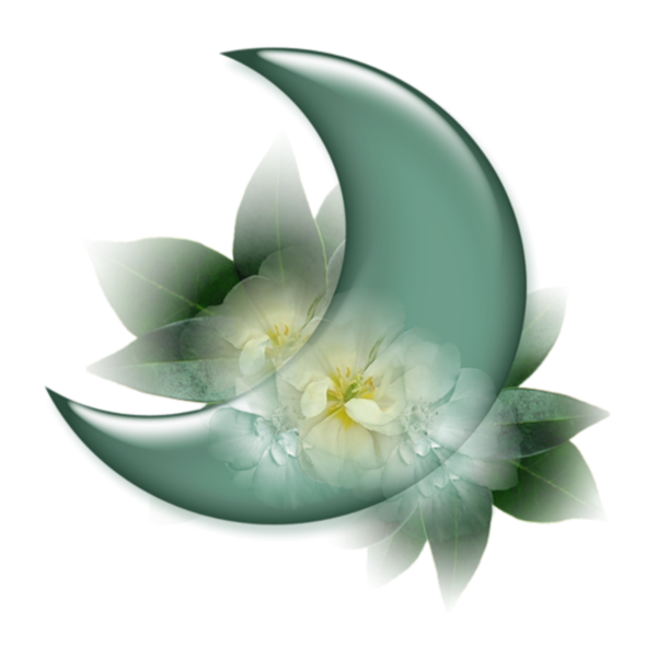 Спокойной ночи