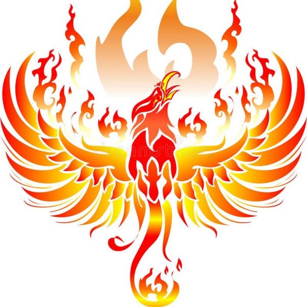 Феникс вектор