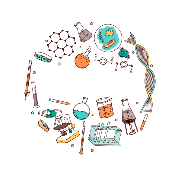 Стикер шумдук факт