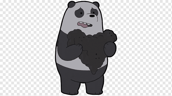 Вся правда о медведях