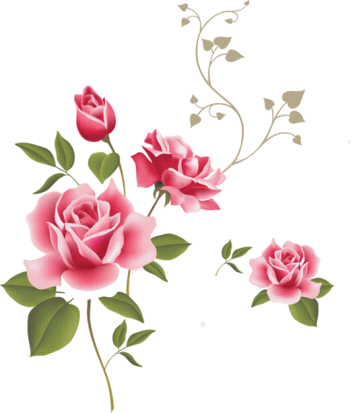 Цветочный узор розы