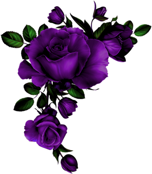 Розы уголок