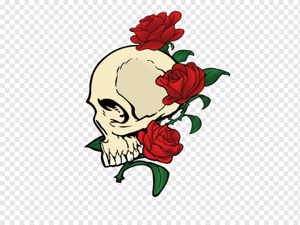 Череп с розами на белом фоне