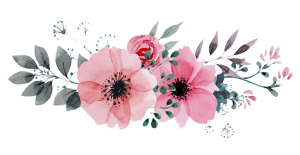 Растения на белом фоне