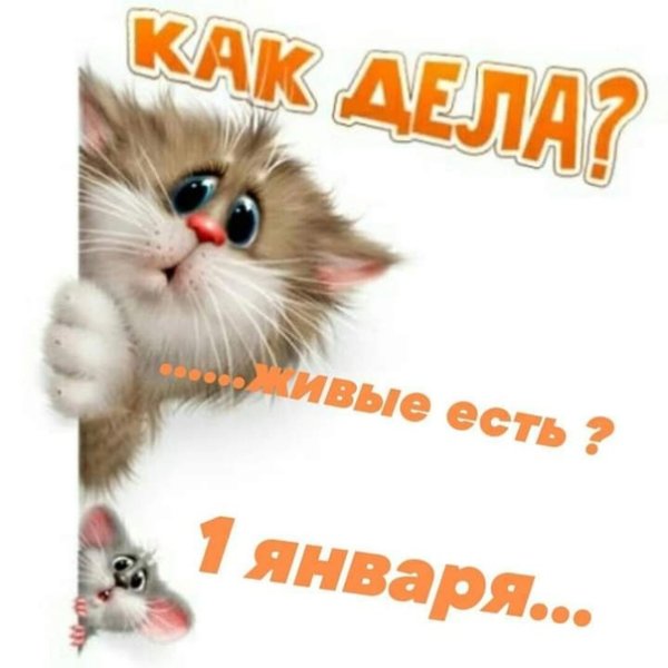 Кот Сима Стикеры ВК