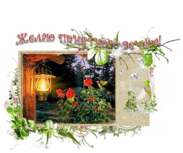 Кот на крыше силуэт