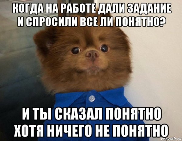 Когда на работе дали задание и спросили все ли понятно