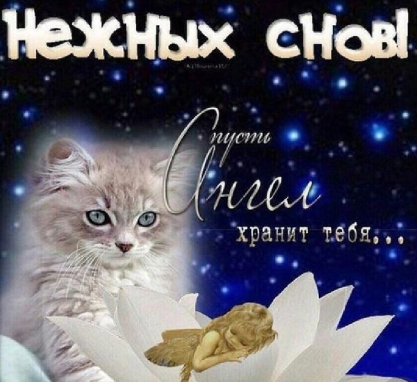 Доброй ночи хороших снов
