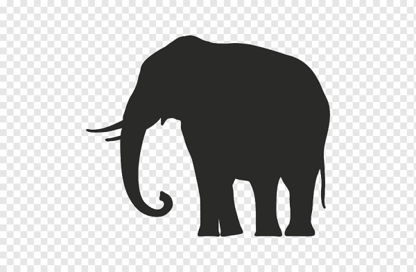 Слон очертания