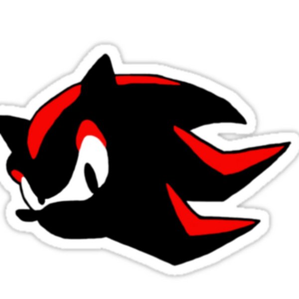 Shadow the Hedgehog символ