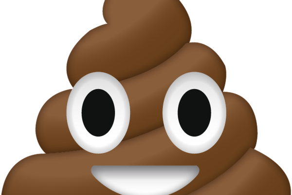 Смайл какашки