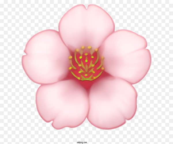 ЭМОДЖИ цветок Сакуры