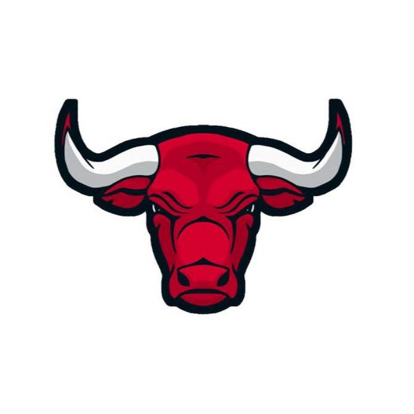 Бык логотип