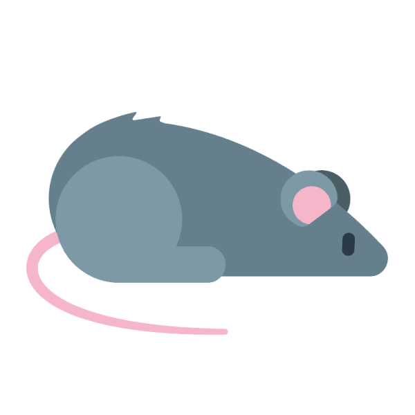 Смайлик крысы