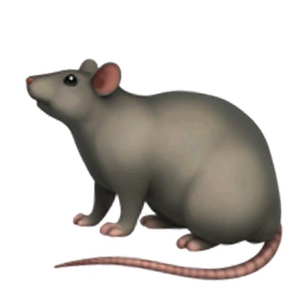 Смайлик крысы