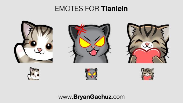 Котик для Твича