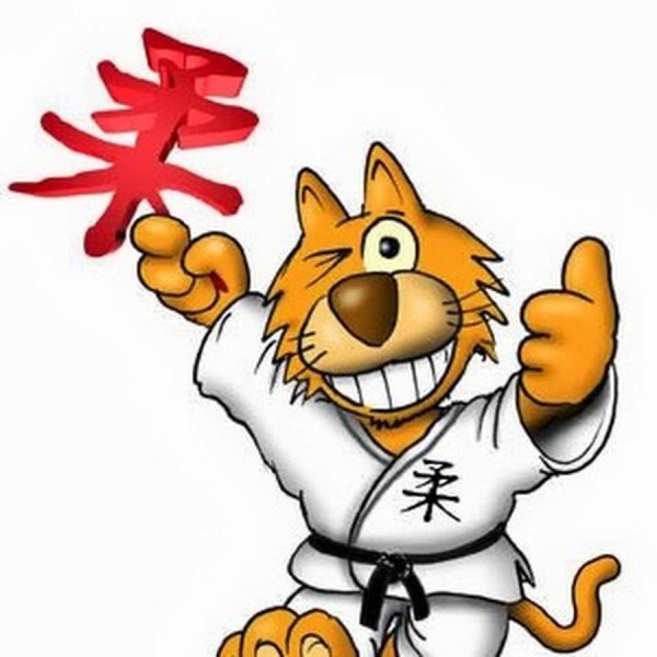 Смешные рисунки про карате