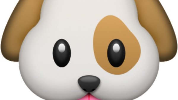 Смайлик щенок