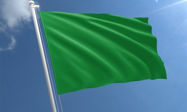 Зеленый флаг
