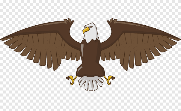 Орлы мультяшные