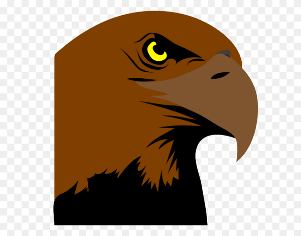 Голова ястреба вектор