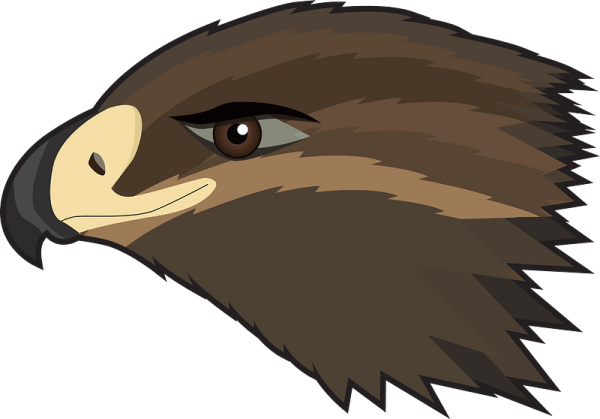 Маска ястреба