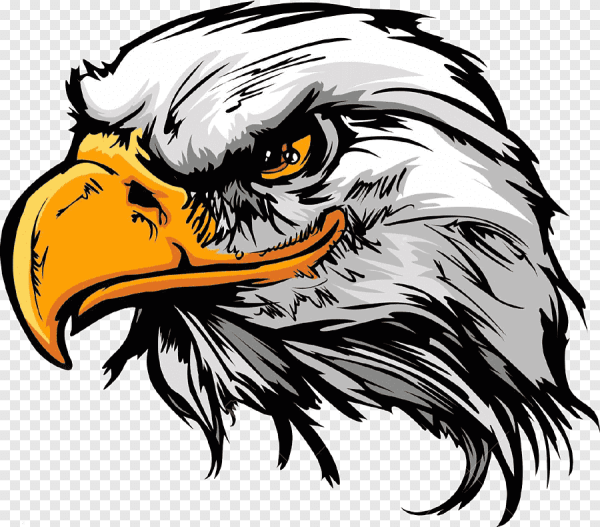 Белоголовый Орлан лого