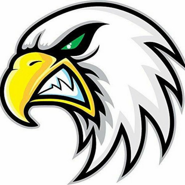 Эмблема Орлы для команды