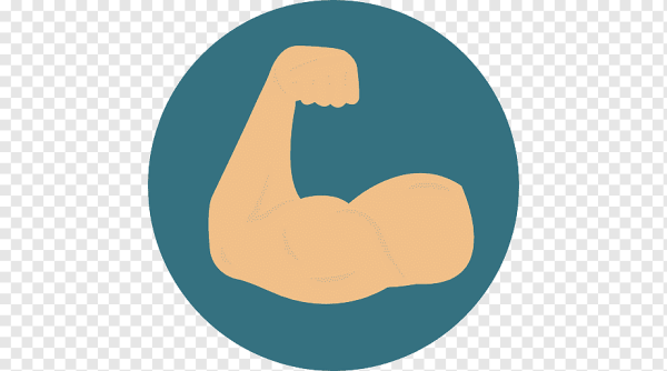 Мышцы иконка