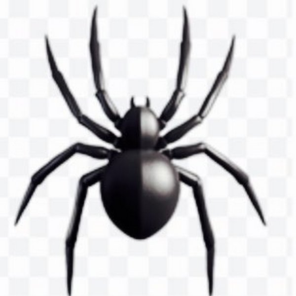 Рожица паука