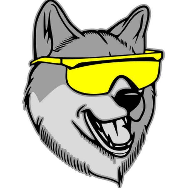 Волк в очках на аву