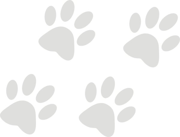 Отпечаток кошачьей лапки