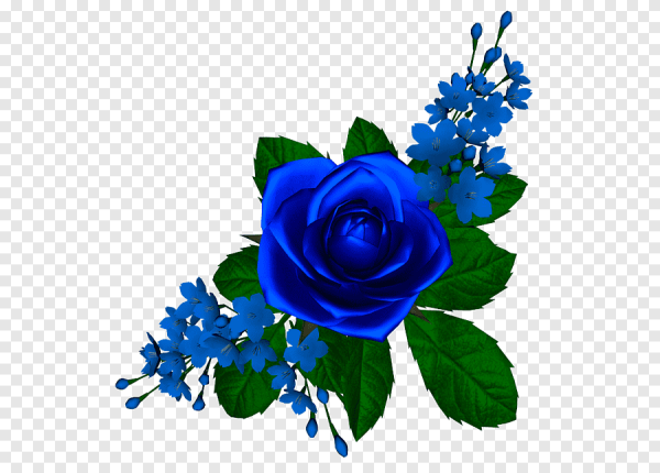 Синие цветы