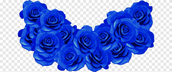 Синие розы на прозрачном фоне