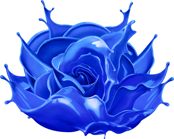 Синяя роза на белом фоне