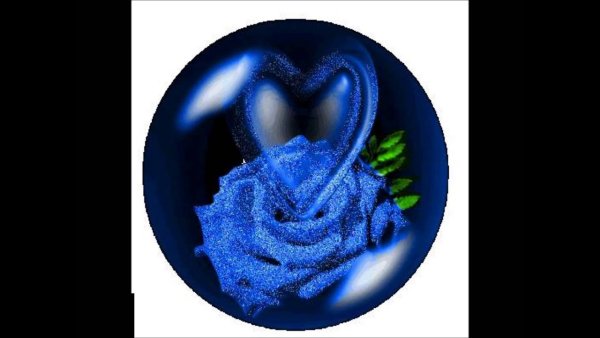 Синие розы сердце