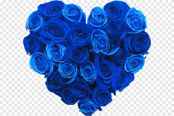 Анимационные цветы для презентаций