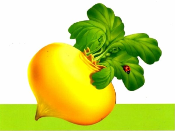 Маски для сказки Репка