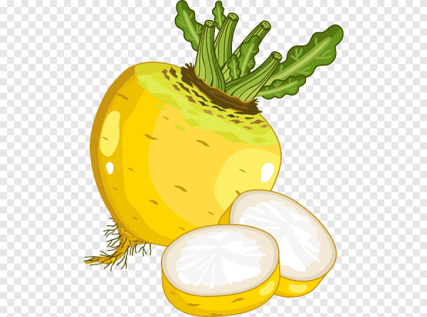 Редька для детей