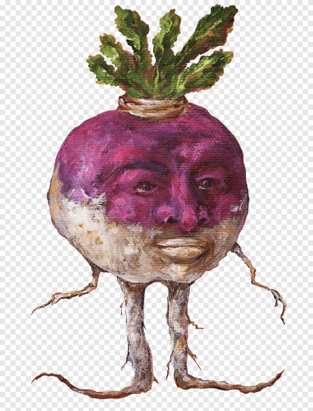 Свекла брюква репа