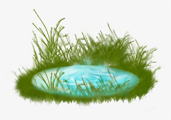 Болото на белом фоне