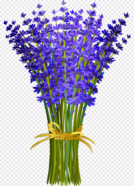 Транспарент Лаванда