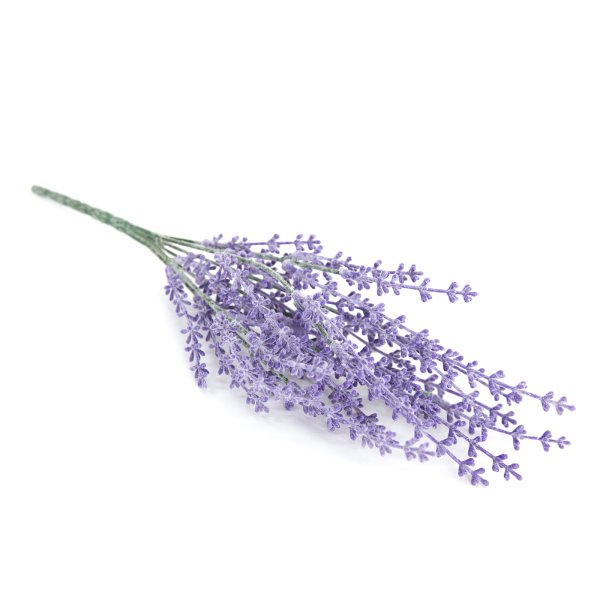 Лавандовая веточка