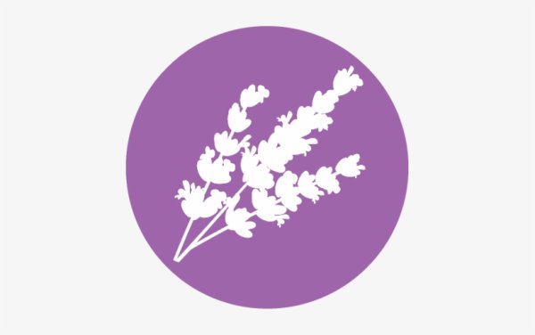 Лаванда силуэт