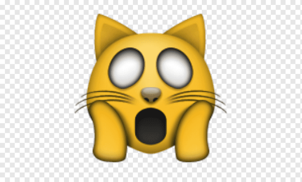 Эмодзи кот ШОК