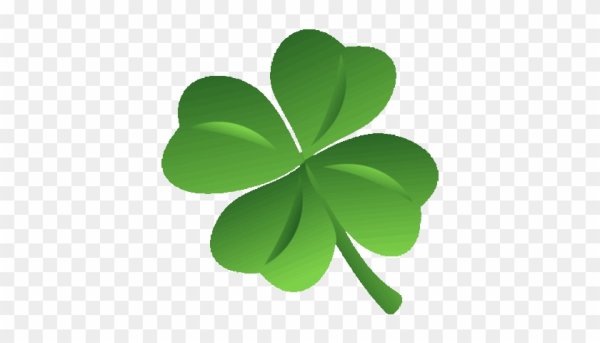 Клевер Шамрок Шемрок четырехлистный