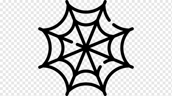 Паутина вектор